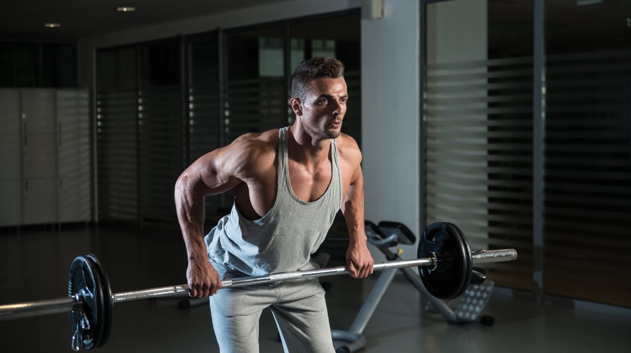 arm and shoulder workouts
