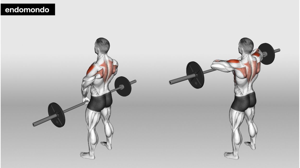 Barbell Upright Rows - barbell shoulder workout