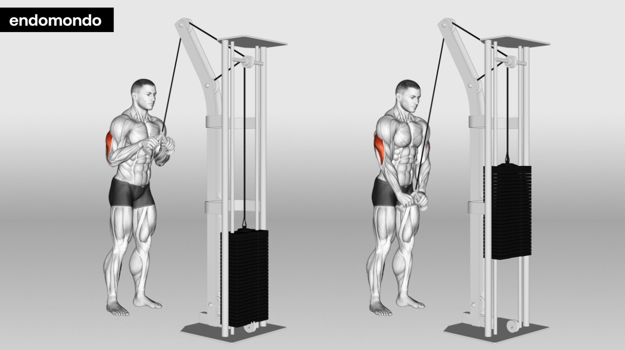 Jackhammer Pushdown