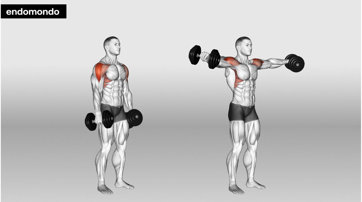 Lateral And Frontal Raises