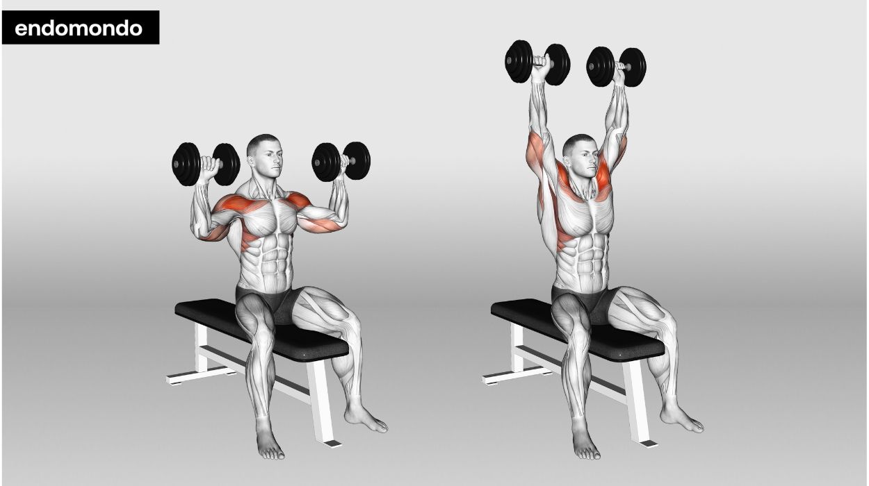 Seated Dumbbell Shoulder Press