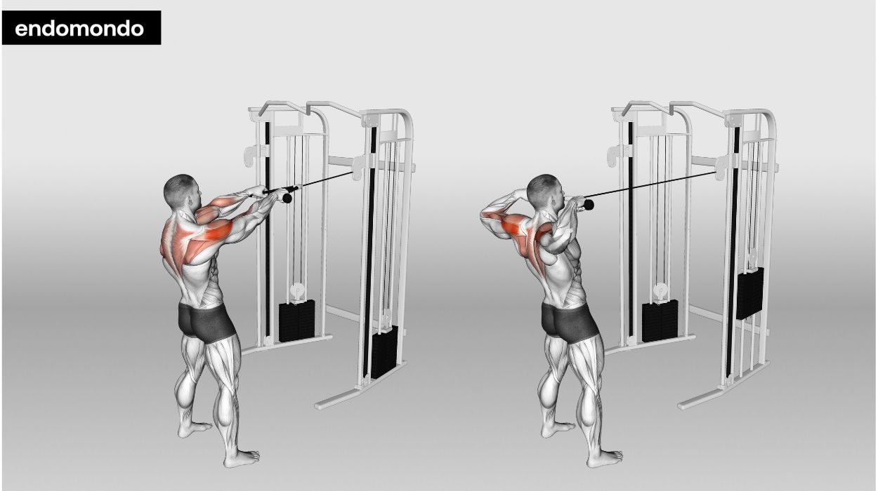 Standing Cable Face Pull