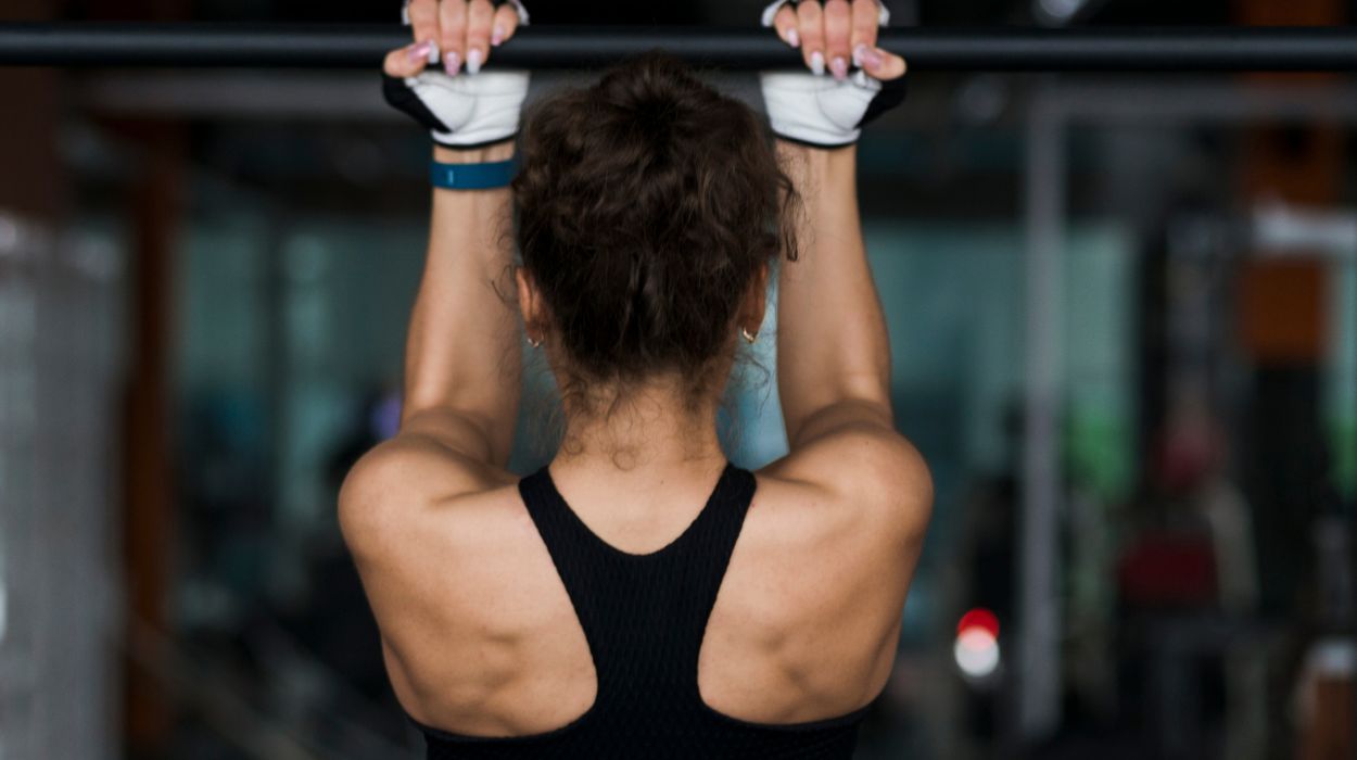 5 Barbell Shoulder Workouts For Stronger Shoulders In 2024