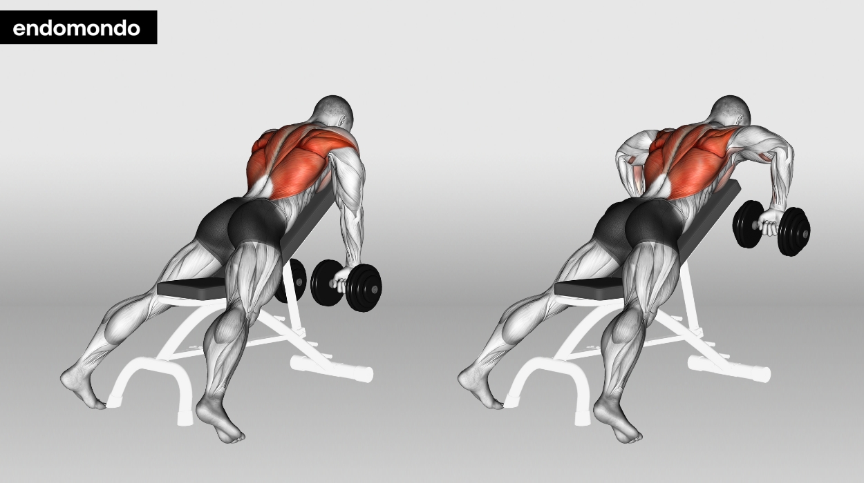 45-Degree Chest-Supported Dumbbell Row