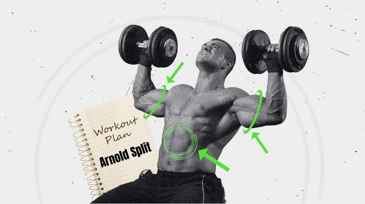 Arnold Split 2024 Full 6 Day Workout