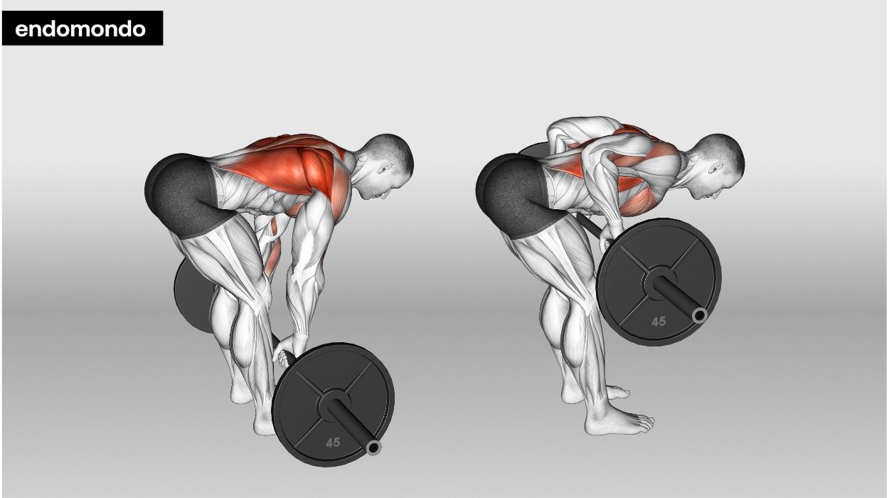 Barbell Bent Over Rows 