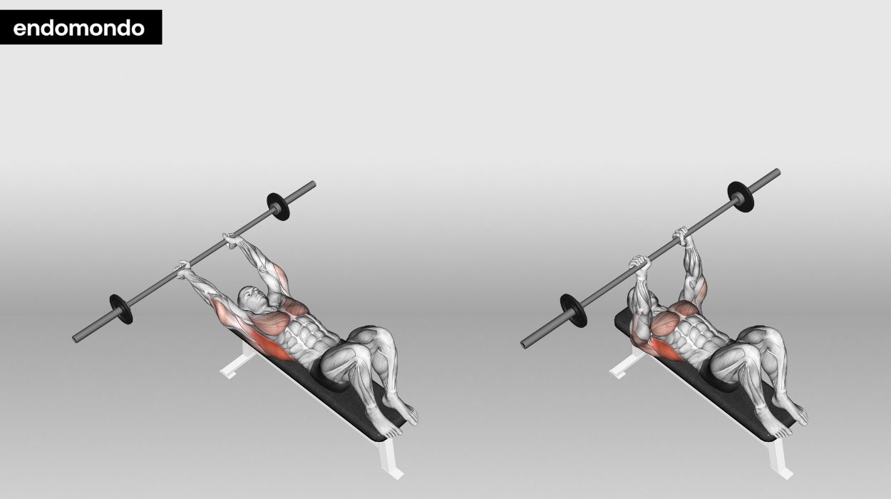 7 Chest And Ab Workouts For Strength Stability 2024