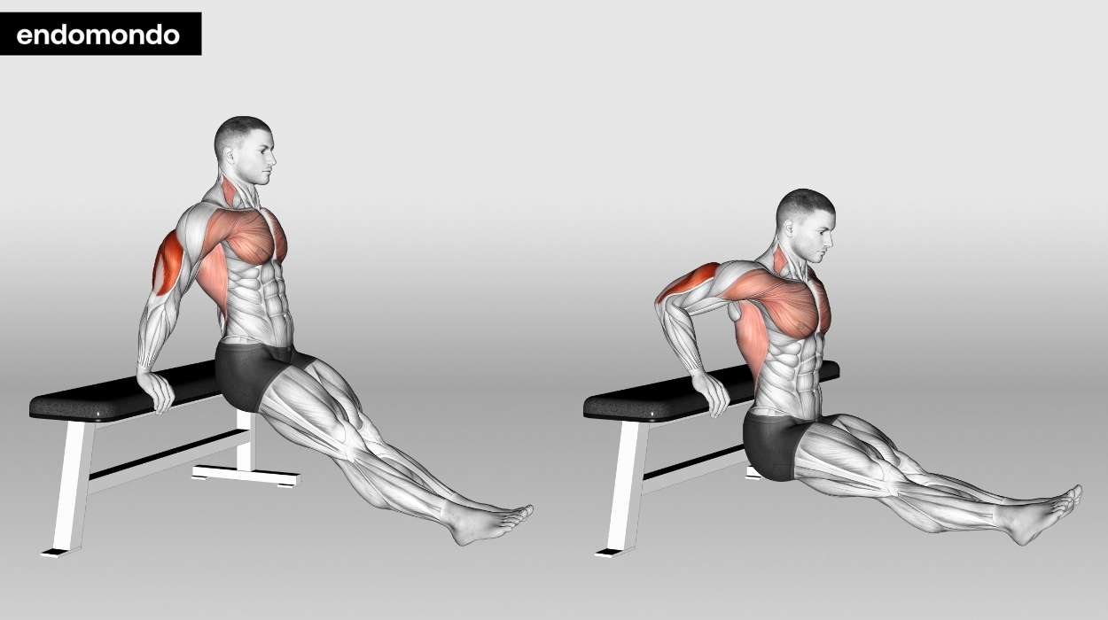 Arms And Shoulders Workout: Bench Dip