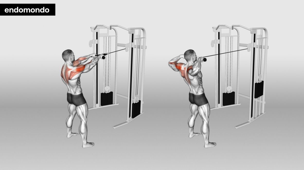 Cable Face Pull - shoulder workouts for men