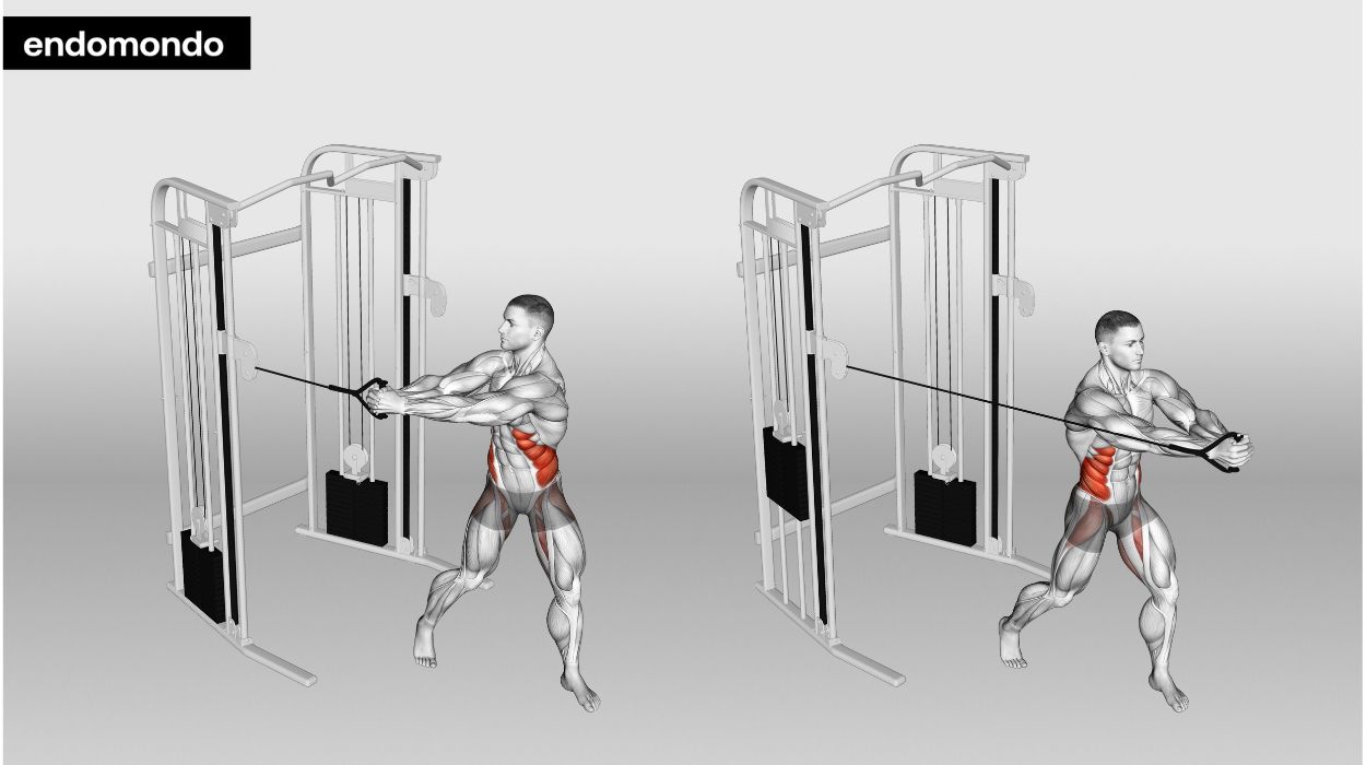 Cable Hip Rotation