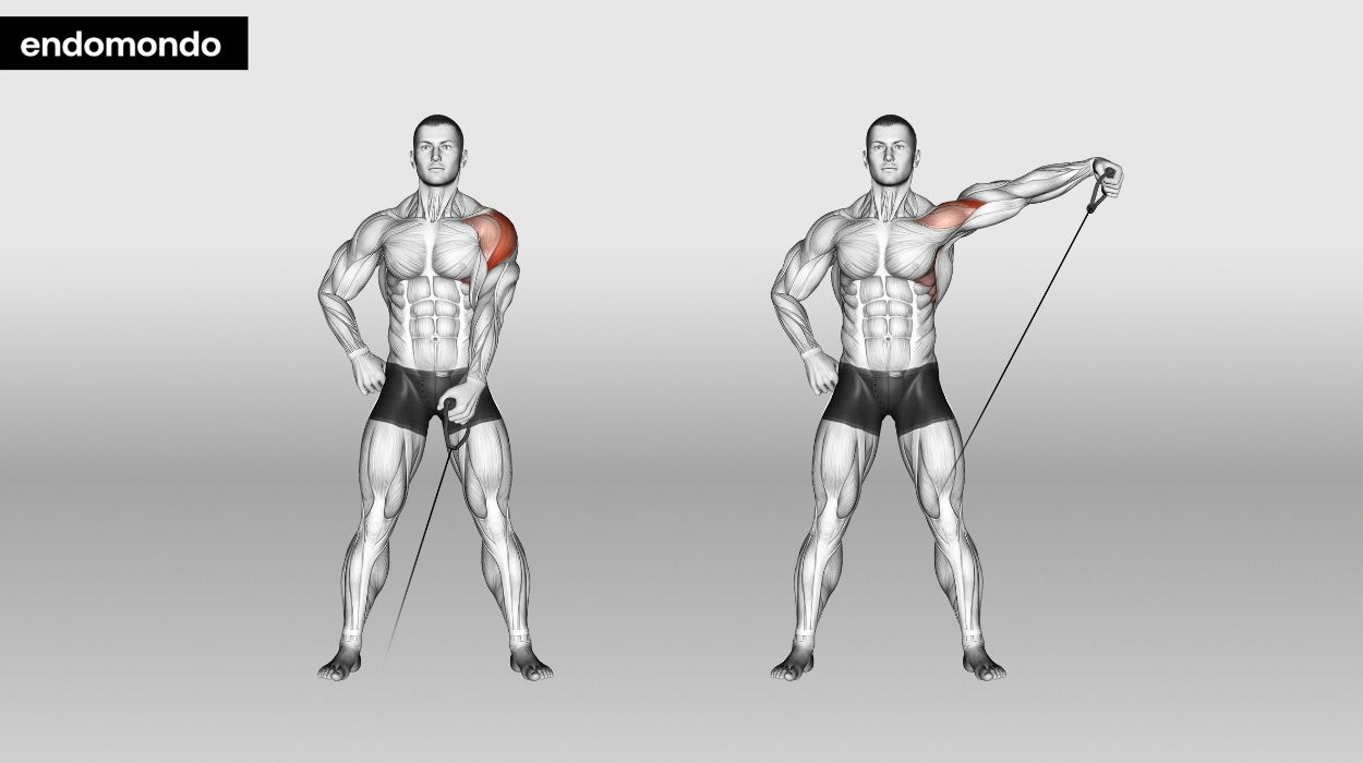 Cable Lateral Raise