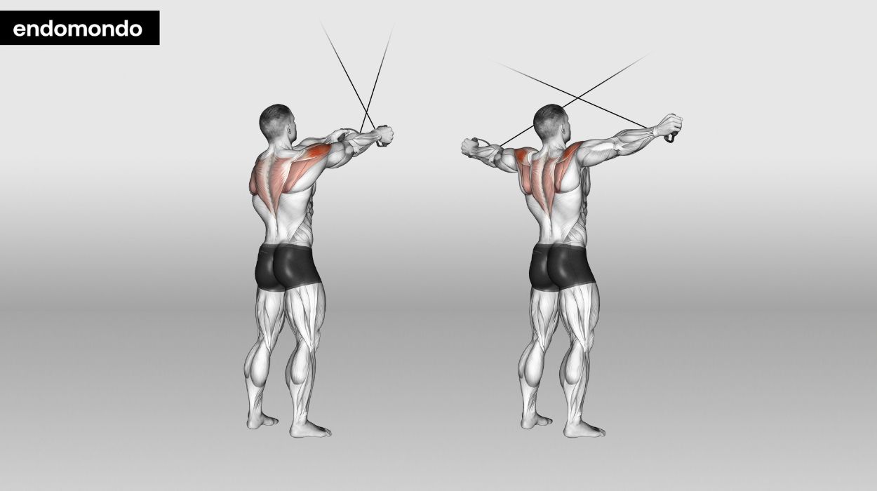 Cable Rear Delt Fly