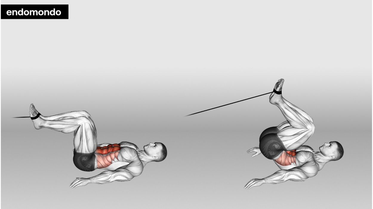 Cable Reverse Crunch