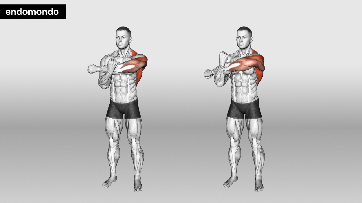 Cross-Body Triceps Stretch