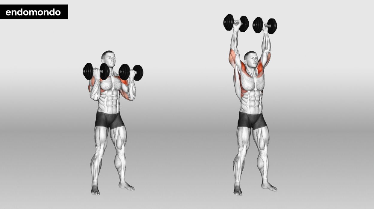 Dumbbell Arnold Press