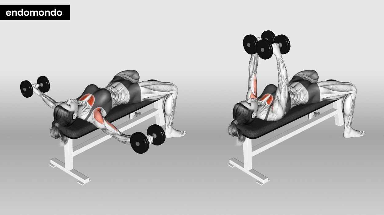 Dumbbell Flyes (Flat Bench)