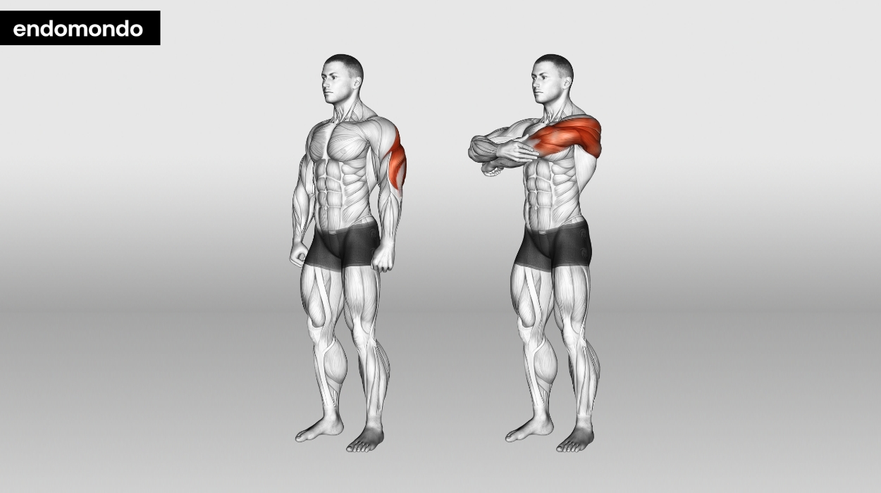 7 Tricep Stretches For Tight Muscles Relief Safety Tips 2024