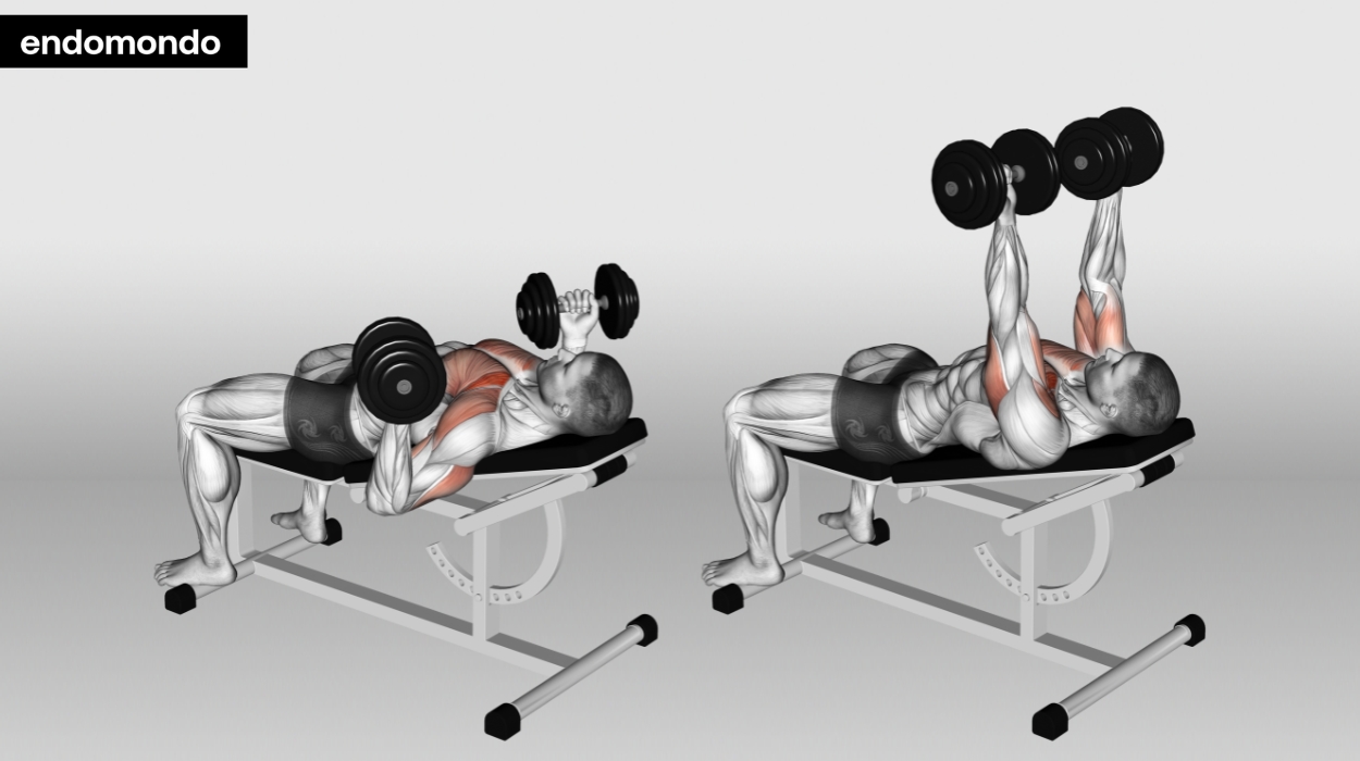 Incline Dumbbell Bench Press