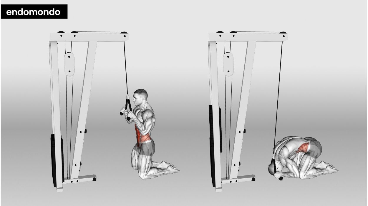 Kneeling Cable Crunch