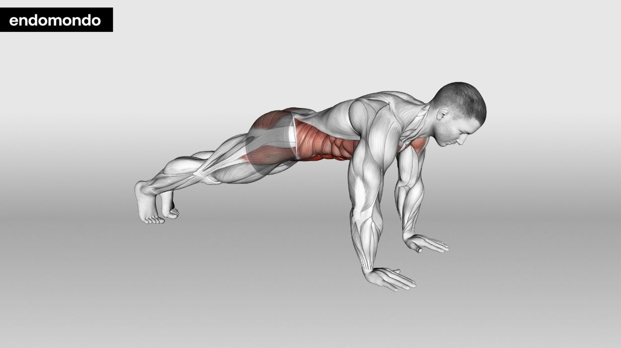 Plank Holds