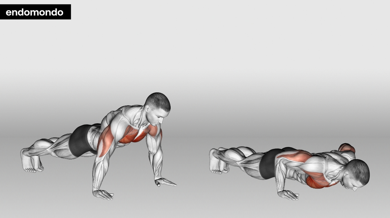 Build Your Chest Muscles With These 10 Exercises