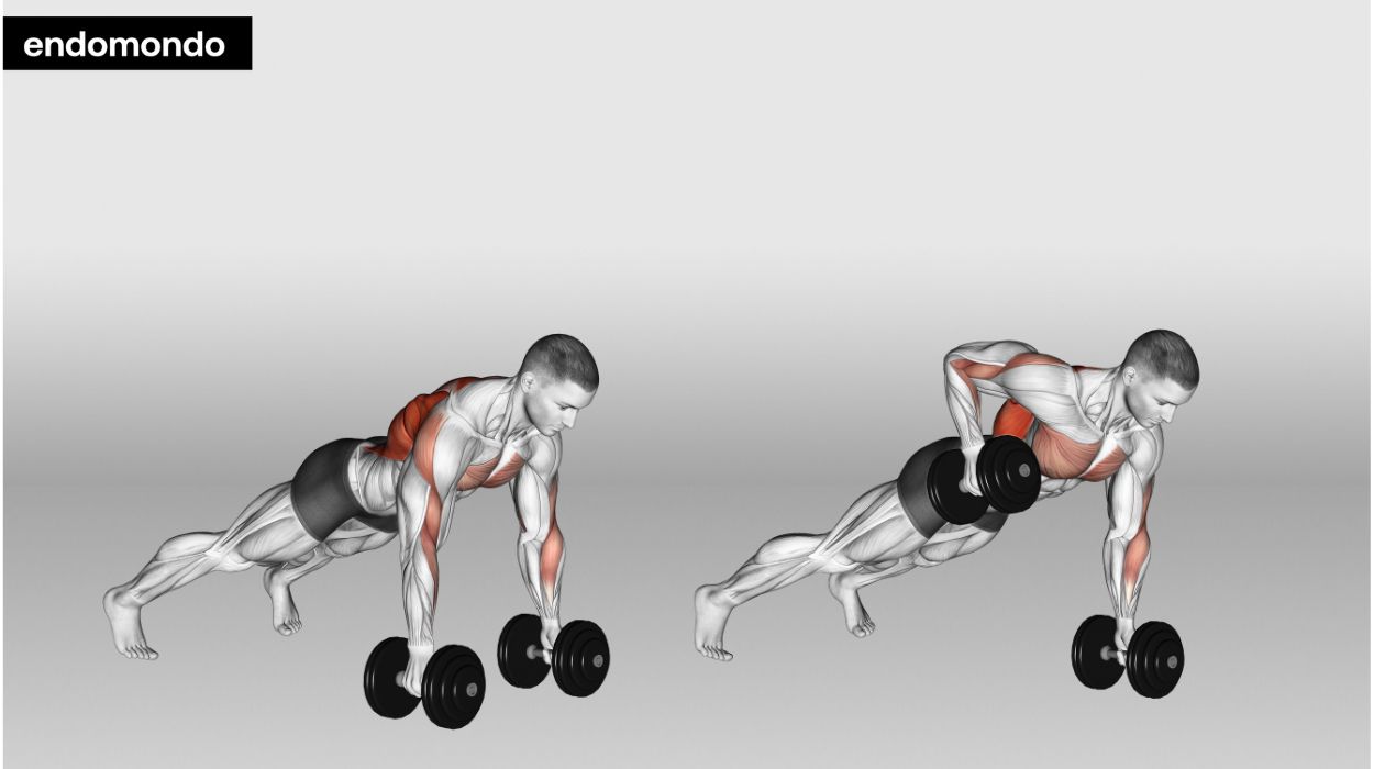 Upper Back Exercises: Benefits & Tips To Improved Strength 2024