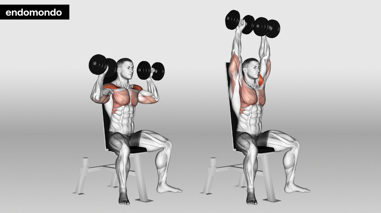 Seated Dumbbell Shoulder Press