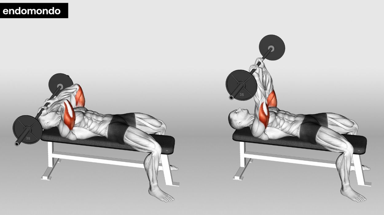 Tricep barbell deals workouts