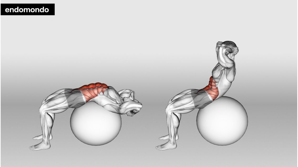 Stability Ball Crunch