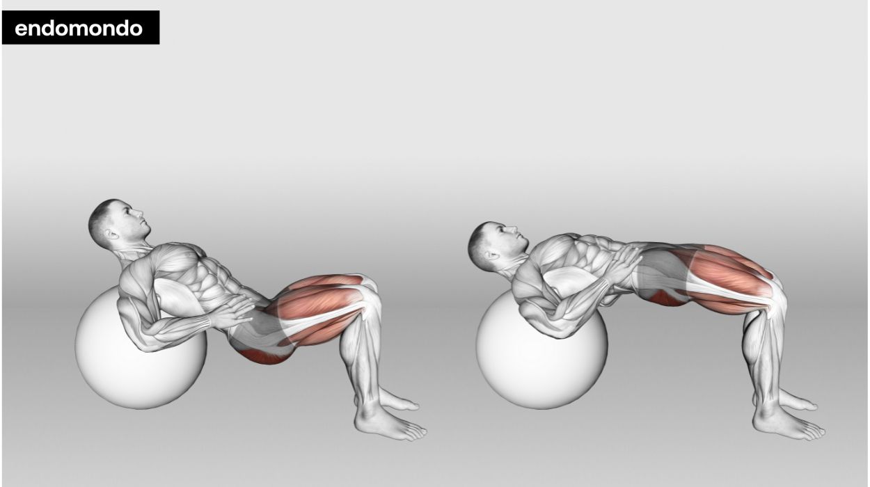 Stability Ball Hip Thrust