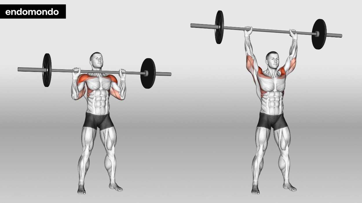 Standing Barbell Overhead Press