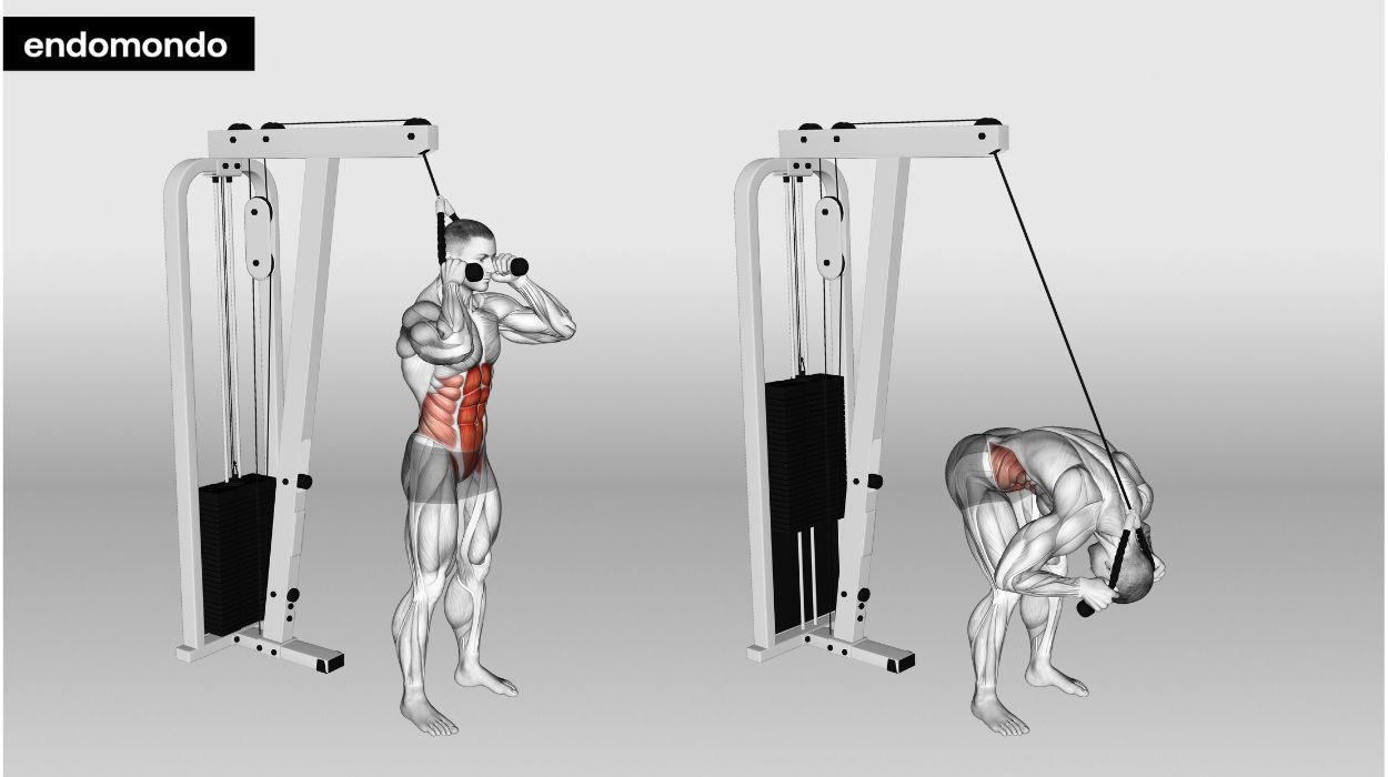 Standing Cable Crunch