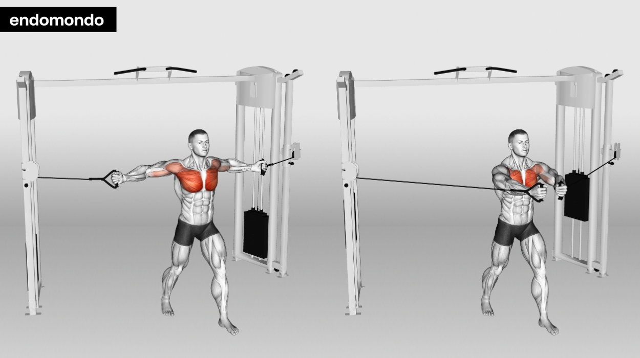 Standing Decline Cable Fly