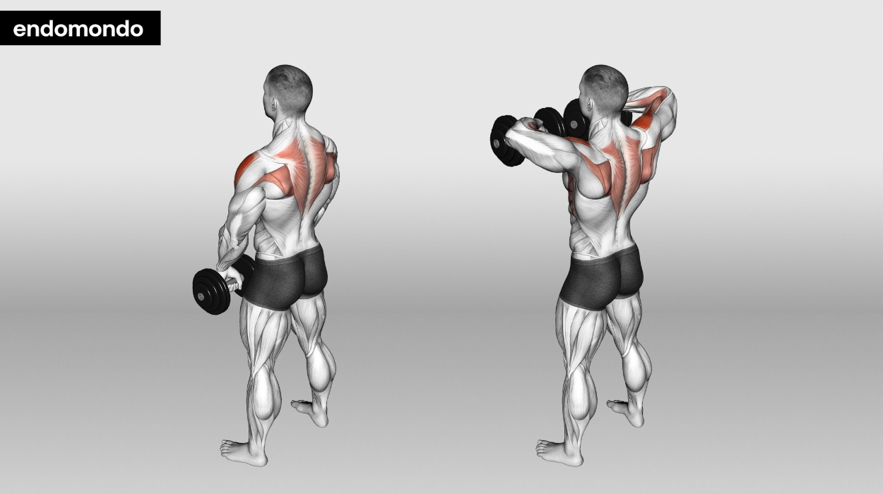 Standing Dumbbell Upright Row
