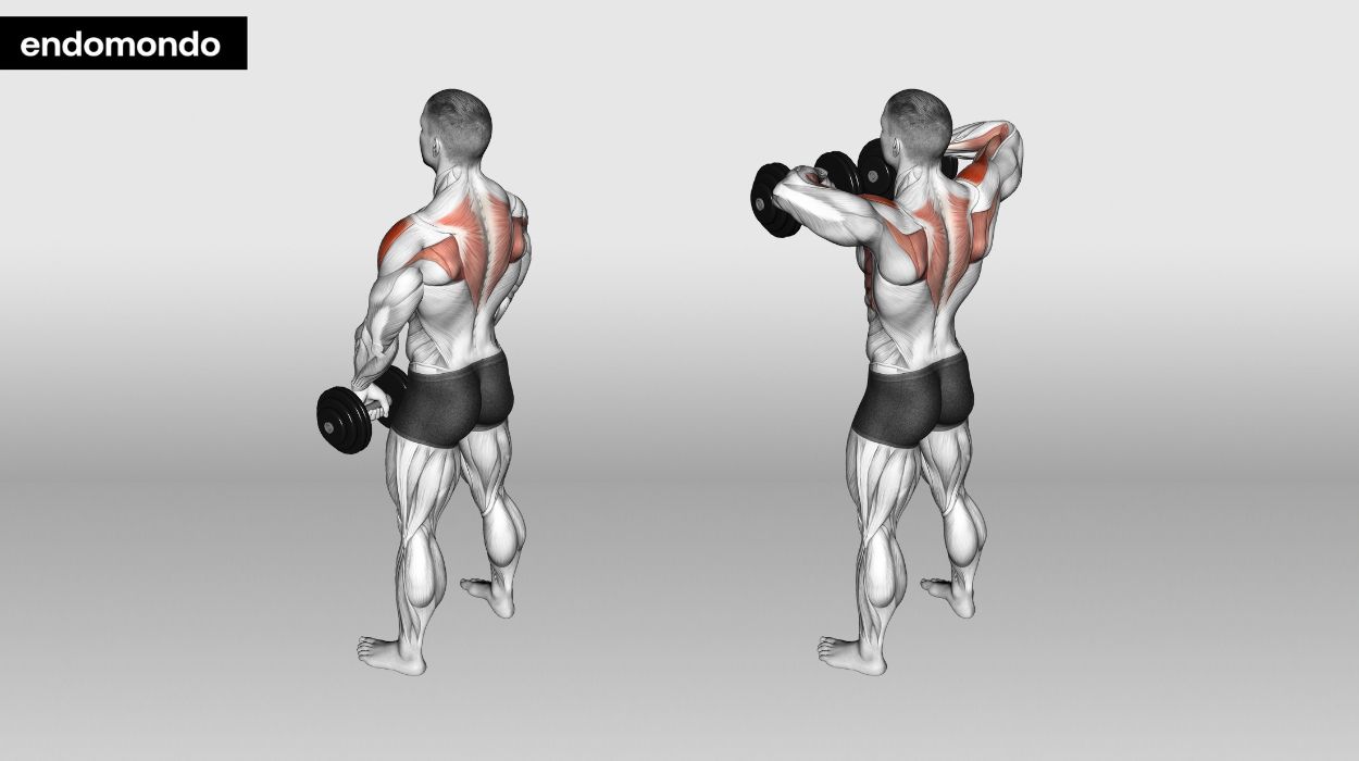 Standing Dumbbell Upright Rows