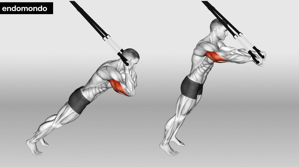 TRX Tricep Extensions
