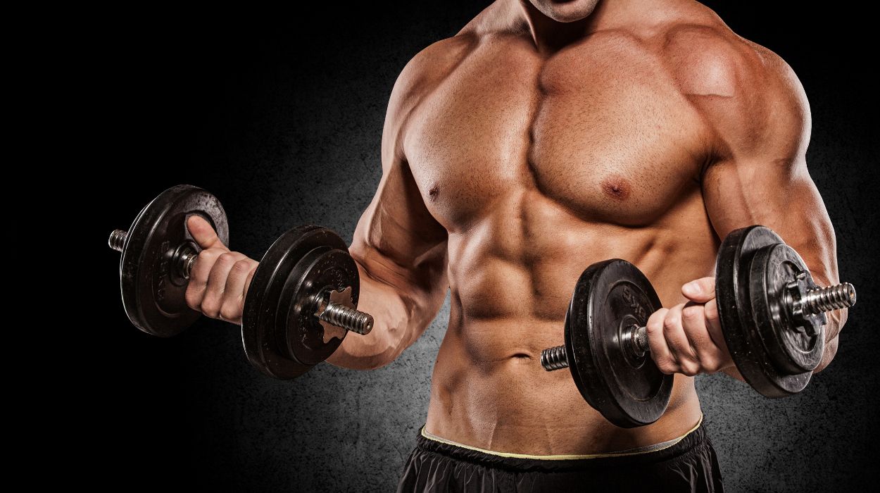 Tips For Chest Workouts