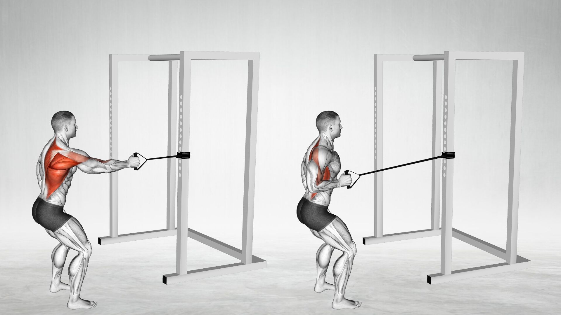 Unilateral-Band-Row: middle back exercises
