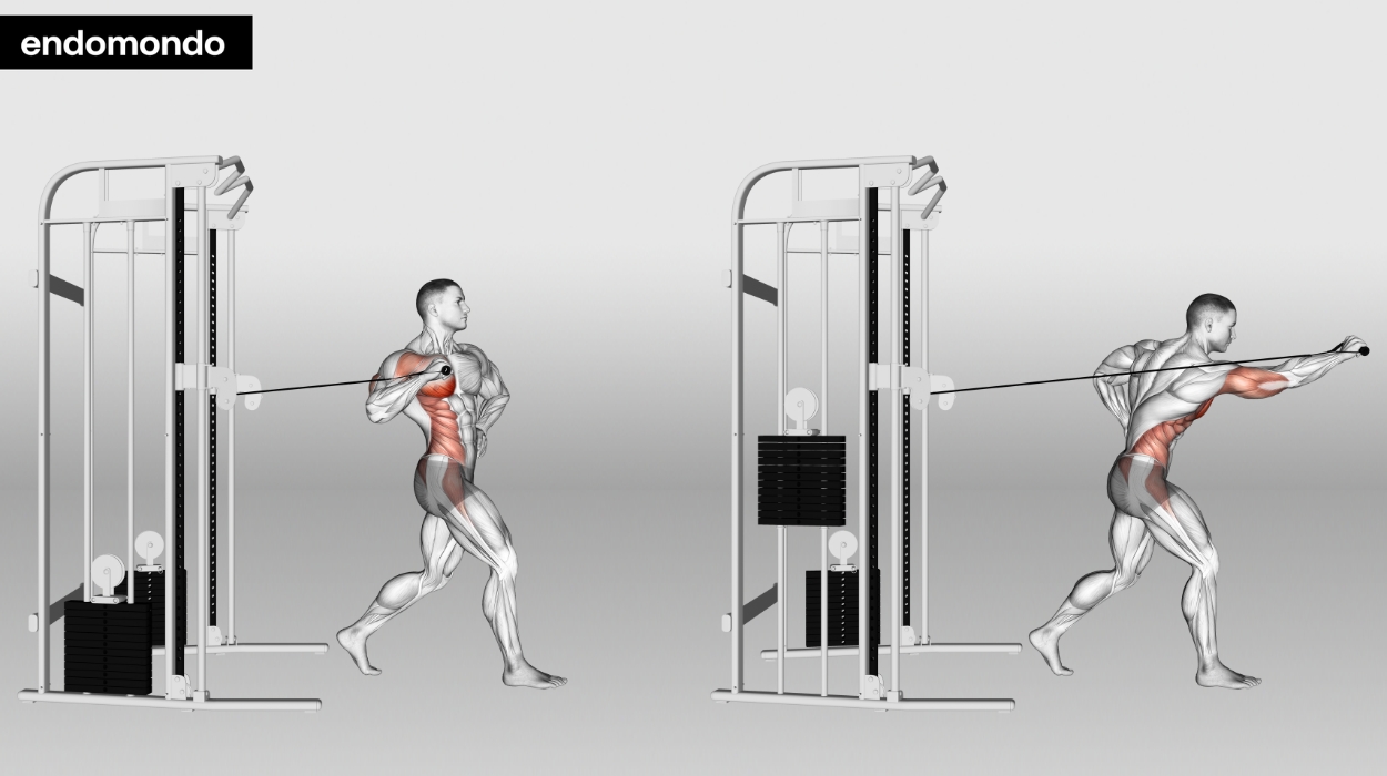 Unilateral Standing Cable Chest Press  