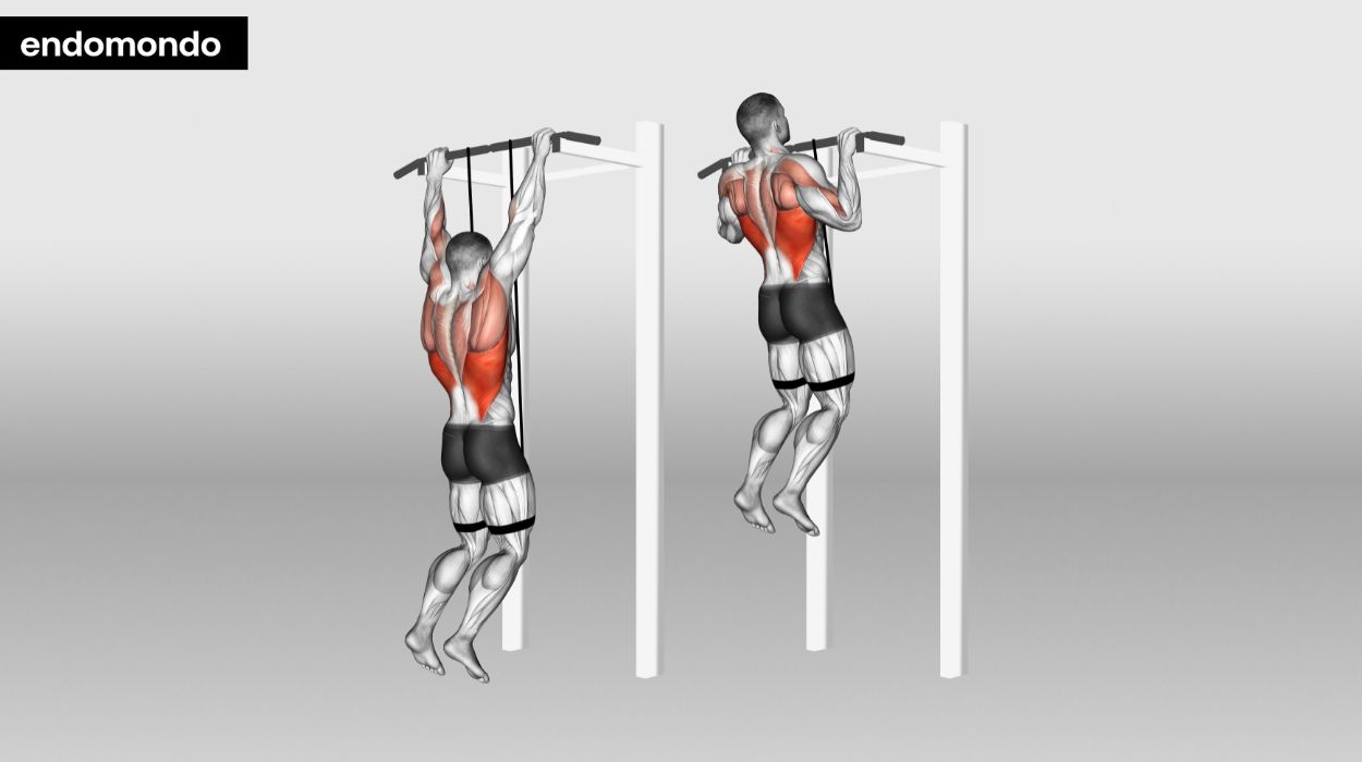 Assisted Pull-Ups