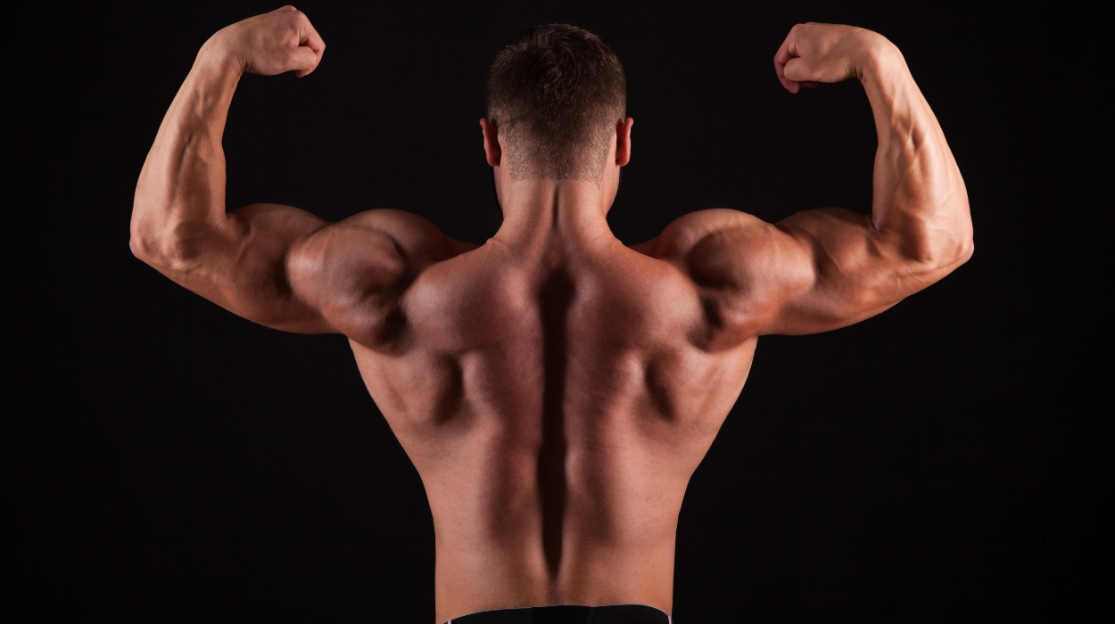 Benefits Of Back And Shoulder Exercises