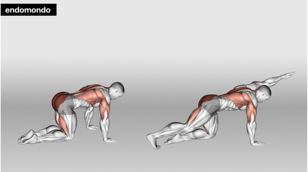 10 Deep Core Exercises For A Strong Core In 2024