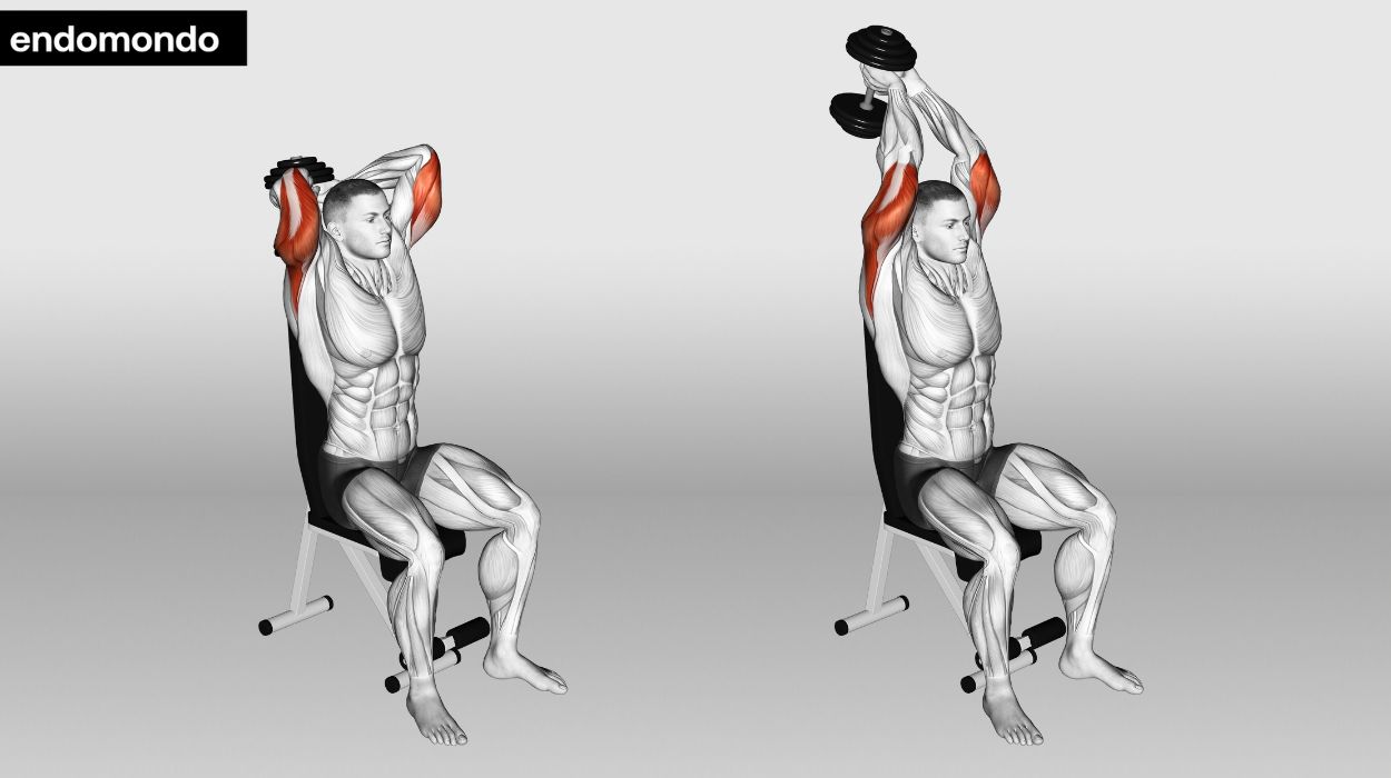 Dumbbell Seated Triceps Overhead Press