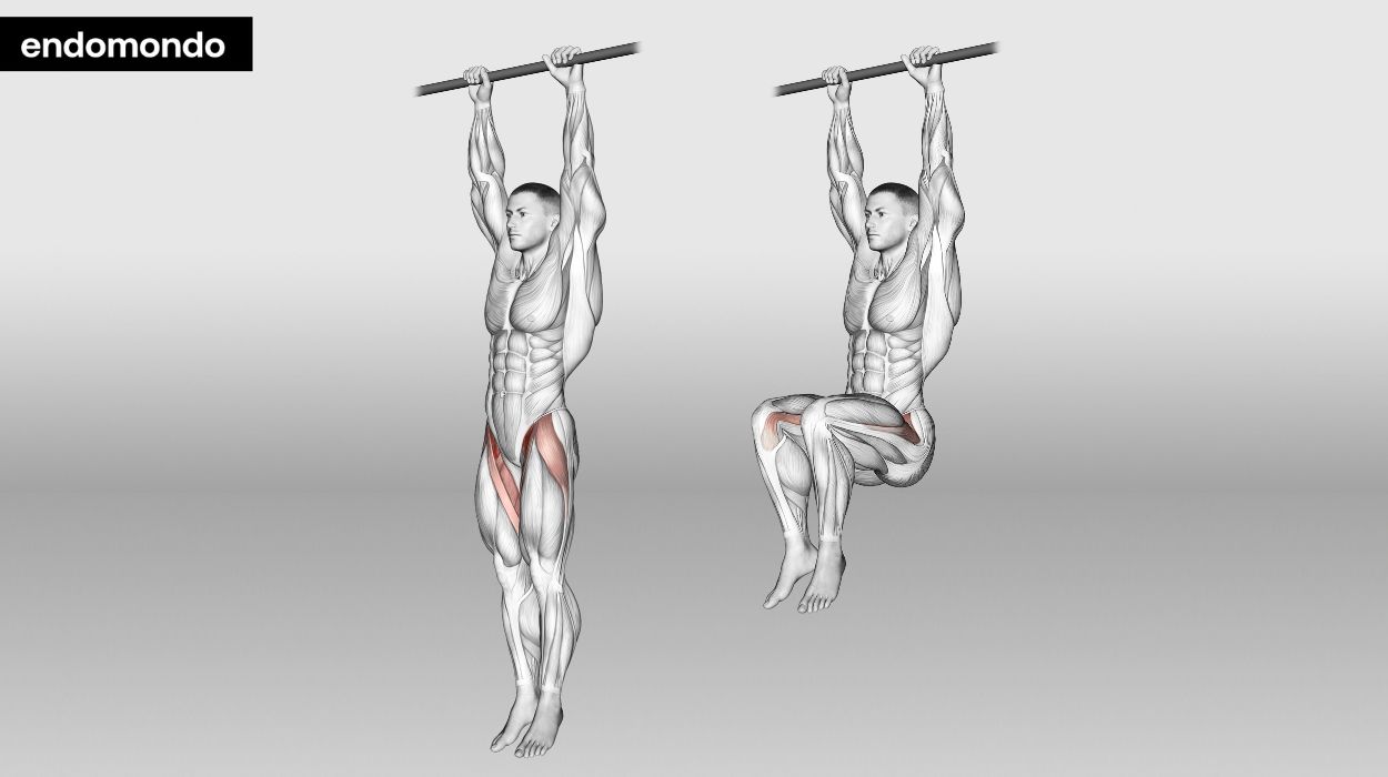 Hanging Knee Raises - pull up bar ab workout