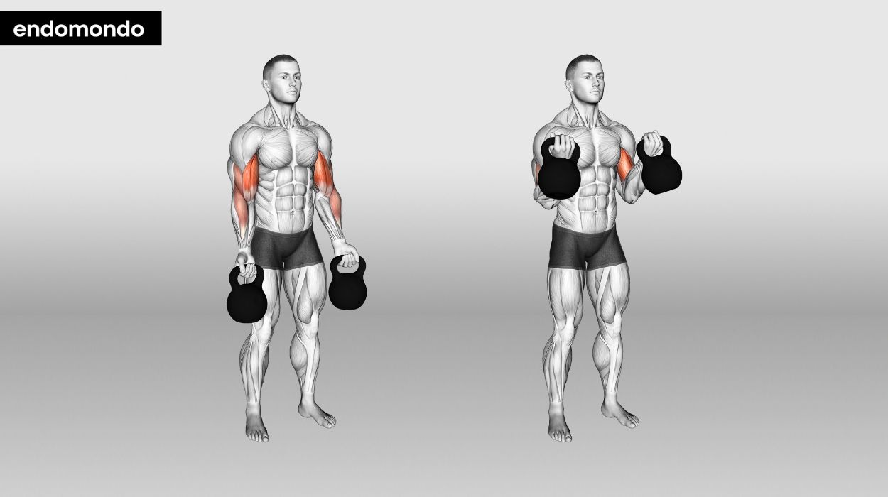 Kettlebell Hammer Curls