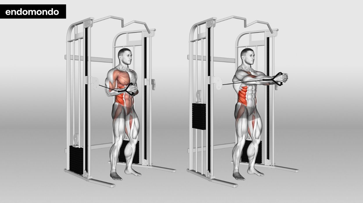 10 Functional Core Exercises For Strength Power In 2024