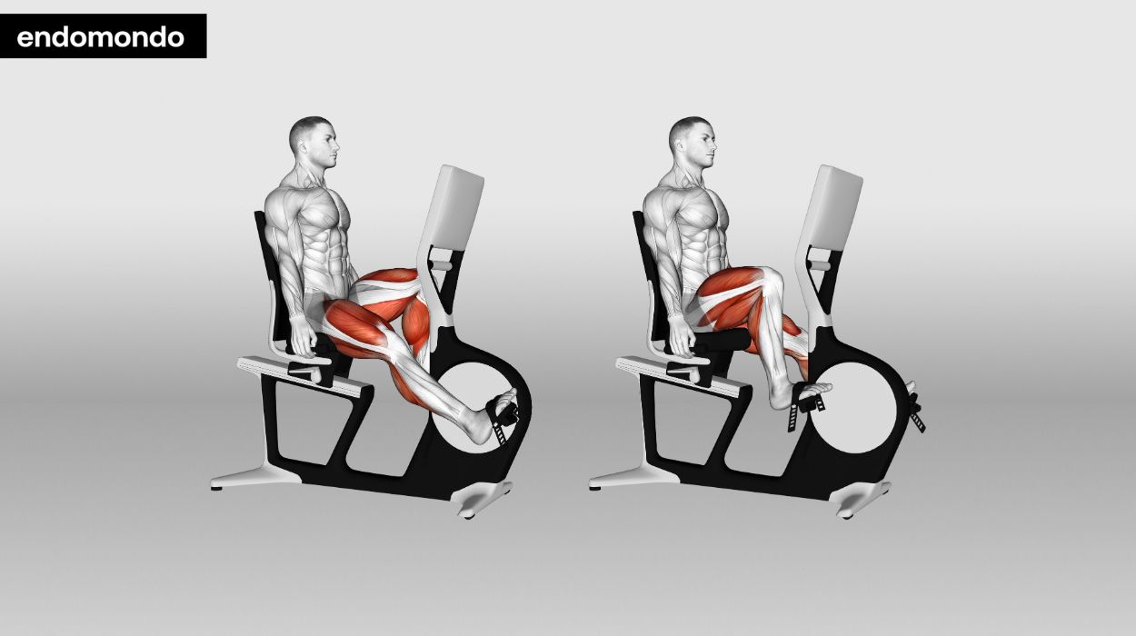 Peloton - best cardio for weight loss