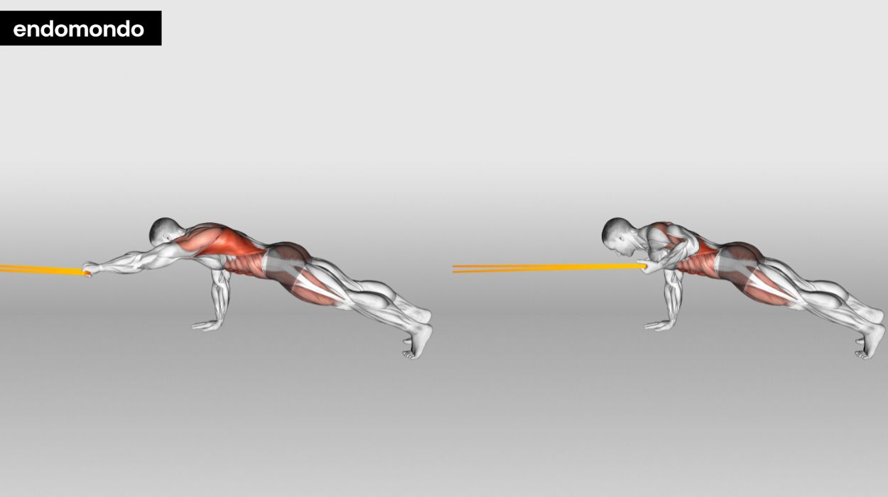 Plank With Resistance Band Row