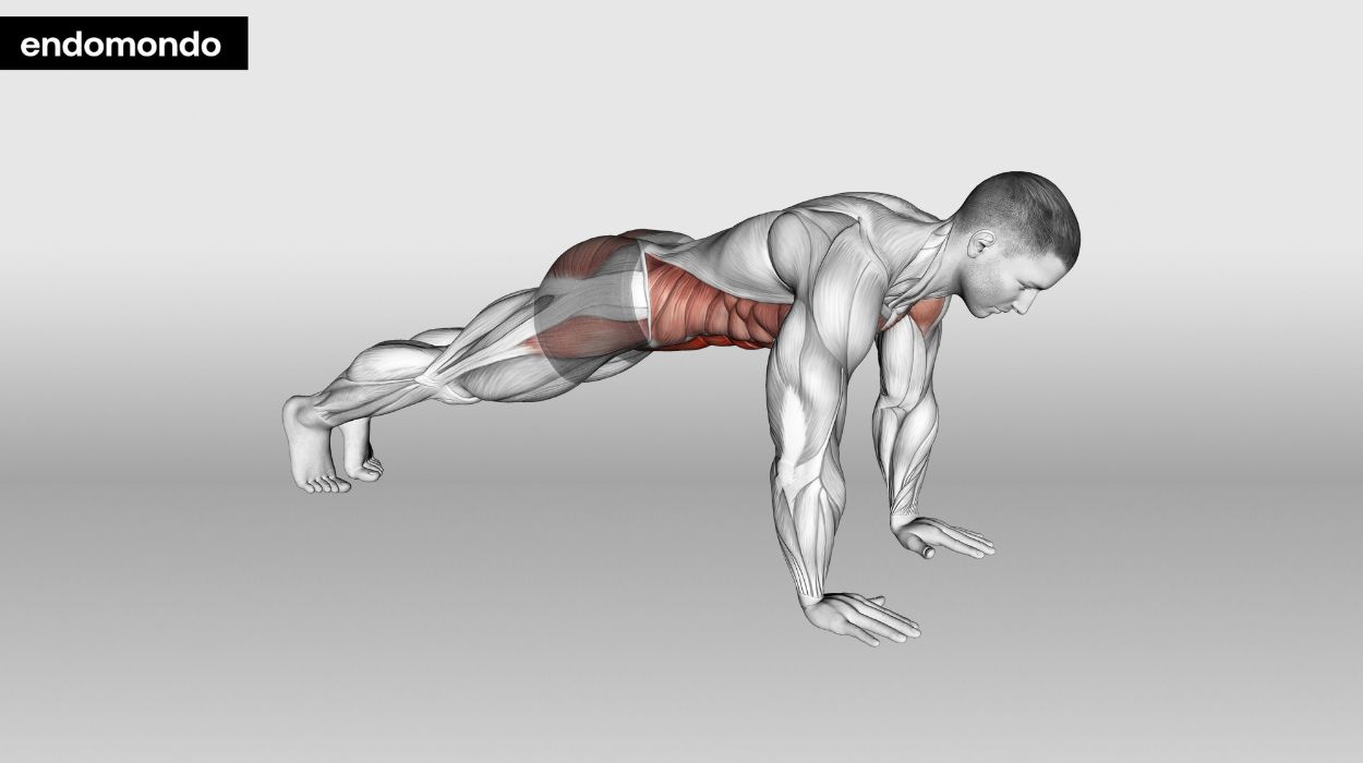 Planks - ab workouts with lower back pain