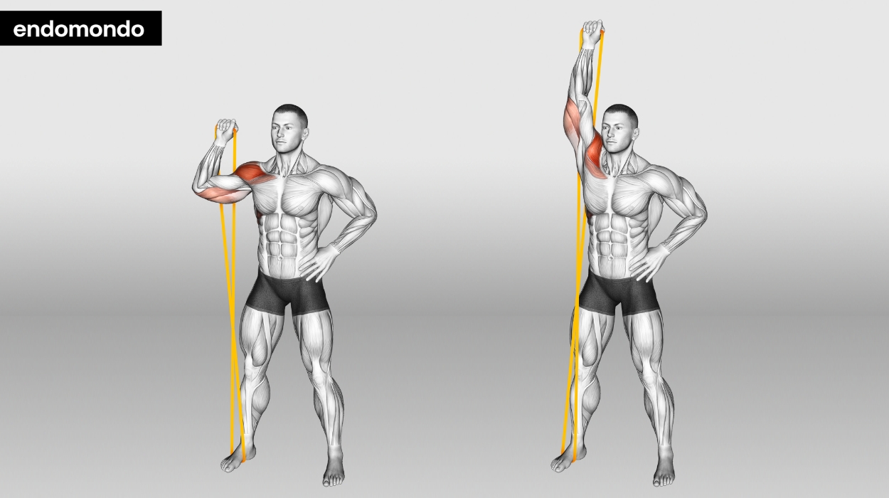 Overhead Tricep Extensions